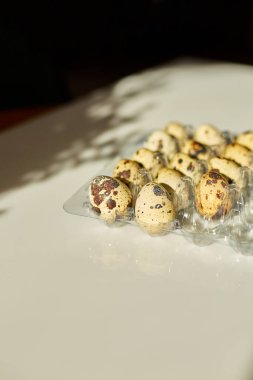 Beyaz arka planda bıldırcın yumurtalı karton kutu, sert güneş ışığı, organik yumurta paketi ürünü..