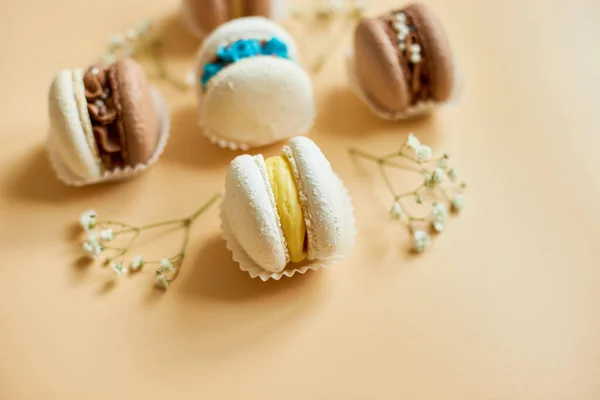 Top View Set Different French Cookies Macaroons Cake Macarons Flowers — Stock Fotó