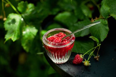 Siyah arka planda cam kasede ahududu reçeli, açık hava bahçesi taze çalı, güneş ışığı. 