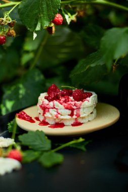 Siyah arka planda pirinç gevreği ve ahududu reçeli kek, açık hava bahçesi taze çalı, güneş ışığı. Kolay yemek. Sağlıklı katmanlı tatlı, vegan, diyet, organik doğal doğum günü. 