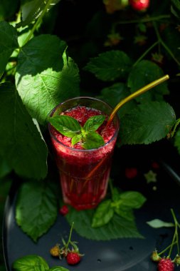 Ahududu, fesleğen arınma suyu, limonata, siyah arka planda soğuk yaz içeceği, açık hava bahçesi taze çalı, güneş ışığı, vegan, diyet, organik doğal içecek. 