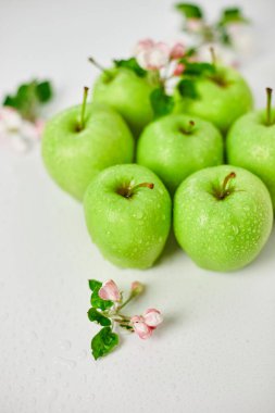 Düz elma çiçekleri ve olgun yeşil elmalar beyaz arka planda, meyveler ve çiçekler, sping konsepti. Üst görünüm