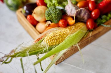 Wooden box with different fresh farm vegetables on the white background, Autumn harvest and healthy organic bio food concept, Garden produce and harvested vegetable