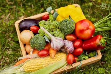 Wooden box with different fresh farm vegetables outdoor on the grass, Autumn harvest and healthy organic bio food concept, Garden produce and harvested vegetable