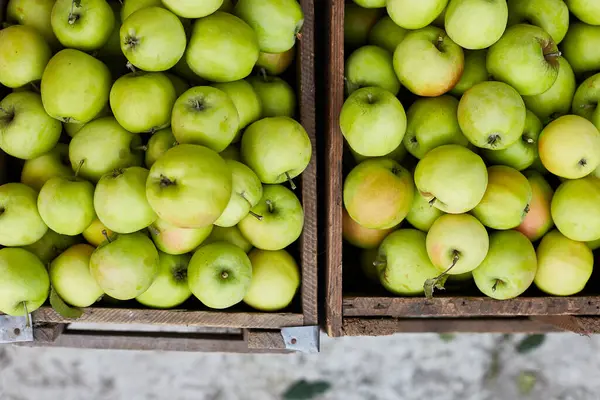 Pommes Vertes Fraîches Sur Les Boîtes Bois Récolte Espace Pour — Photo