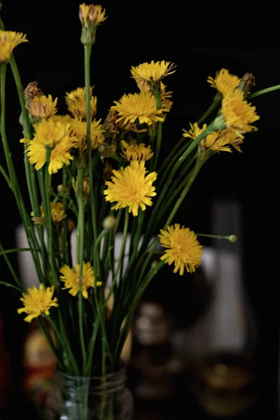 Dandelion Bouquet Kitchen Close — Stock Photo, Image