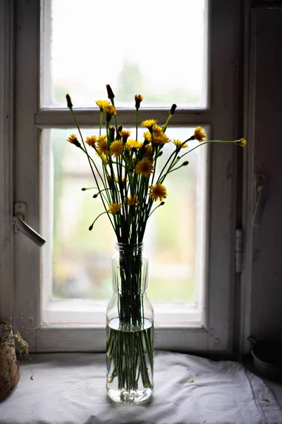 Dandelion bouquet on the old windowsill. Close up.