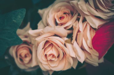 Güzel Yapay Gül Çiçekleri Arkaplanı, Vintage tarzı;