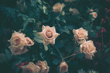 Güzel Yapay Gül Çiçekleri Arkaplanı, Vintage tarzı;