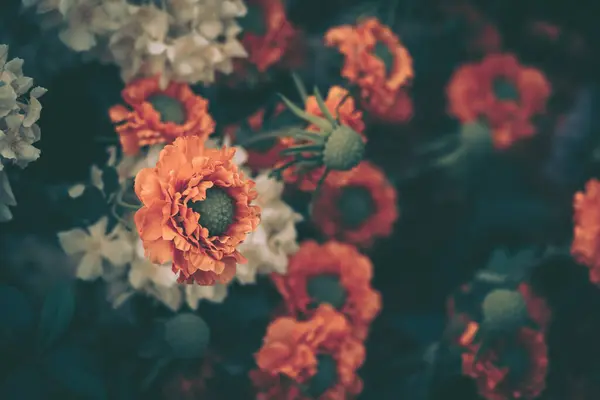 Красивые Искусственные Цветы Розы Фон Винтажный Стиль Стоковое Изображение