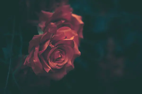 Красивые Искусственные Цветы Розы Фон Винтажный Стиль Стоковое Фото