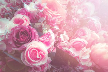 Çiçek ve ışık; arkaplan veya doku; bahar kavramı