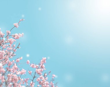 Çiçek ve ışık; arkaplan veya doku; bahar kavramı