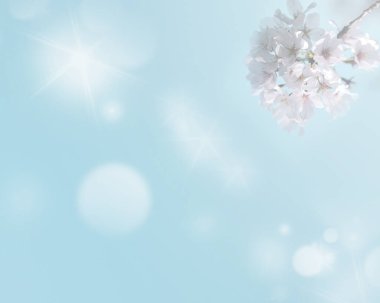 Çiçek ve ışık; arkaplan veya doku; bahar kavramı