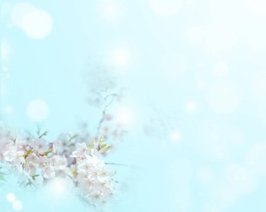 Çiçek ve ışık; arkaplan veya doku; bahar kavramı