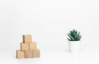 Beyaz arka planda yeşil bitkilerle ahşap küpler.