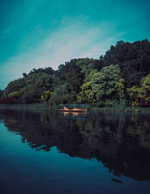Güneş ışığına sahip doğa arkaplanı; yeşil arkaplan
