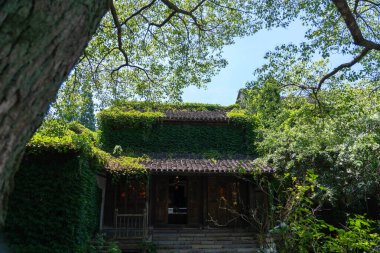 Wuzhen, Hangzhou, Çin, 29 Mayıs 2024: Wuzhen Antik Su Kenti, Çin 'in en ünlü tarihi ve kültürel şehirlerinden biridir.