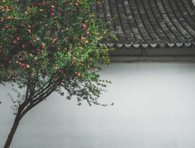 Klasik Çin bahçesinin detayları; klasik mimari