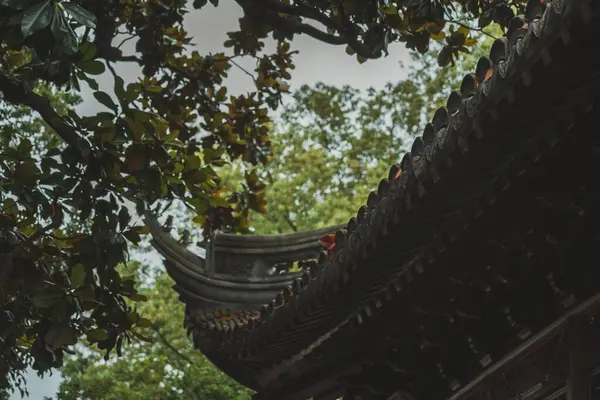 stock image A close-up view of the intricately carved roofline of a traditional Chinese building, partially obscured by lush green foliage.