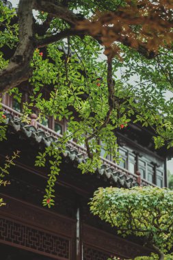 Geleneksel Çin çatı çizgisi olan ahşap bir binanın bulanık zeminine karşı yeşil yaprakların ve kırmızı çiçeklerin yakın görüntüsü..