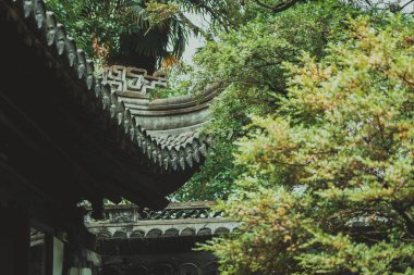 Geleneksel bir Çin çatısının, yemyeşil bir manzarası var..