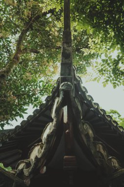 Geleneksel bir Çin çatısının alçak açılı bir görüntüsü karmaşık oyulmuş saçaklarıyla, tepedeki ağacın yemyeşil yapraklarıyla çerçevelenmiş..
