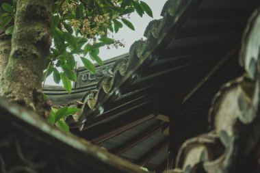 Yu Garden, Şangay 'daki geleneksel Çin çatı çizgisinin alçak açılı görüntüsü..