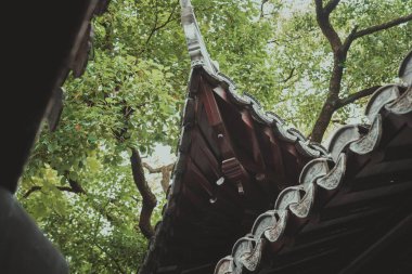 Geleneksel bir Çin binasının karmaşık çatısının alçak açılı görüntüsü. Yeşillik sahneyi süslüyor..