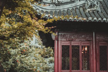 Canlı yeşil yapraklardan oluşan bir dal Yu Garden 'daki geleneksel Çin binasının girişinde asılı duruyor..