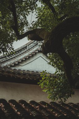 Yu Garden, Şangay 'daki karmaşık bir binanın çatısının alçak açılı görüntüsü. Çatı, yemyeşil yapraklı kalın bir ağaç dalı tarafından kısmen gizlenmiş..