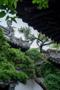 Şangay, Çin - Haziran 06, 2024: Bir ejderha heykeli Şangay 'ın Yu Garden kentindeki geleneksel bir Çin binasının çatısını süslüyor..