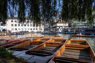 Cambridge, İngiltere - 08 Ekim 2023: Tahta tekneler Cambridge, İngiltere 'deki River Cam boyunca demirli. Güneş suyun üzerinde parlıyor, yakınlardaki binaları yansıtıyor..