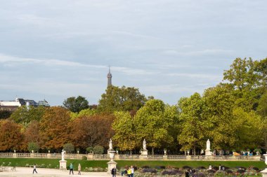 Paris, Fransa - 18 Ekim 2023: Paris 'teki bir bahçenin ağaçlarından bakan Eyfel Kulesi manzarası.