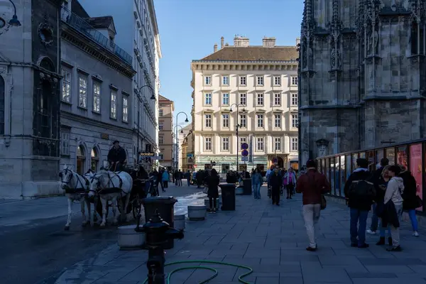 Wien, Avusturya - 28 Ekim 2023 Viyana, Avusturya 'da bir kaldırım taşı caddesinde arka planda büyük bir katedral bulunan bir at arabası duruyor..