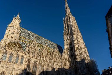 Wien, Avusturya - 28 Ekim 2023: Avusturya 'nın Viyana kentindeki St. Stephen Katedrali' nin çarpıcı manzarası.
