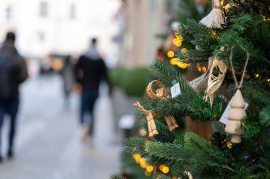 Regensburg, Almanya - 06 Kasım 2023: Almanya 'nın Regensburg şehrinde bir Noel ağacı. Sokakta yürüyen insanların bulanık bir geçmişi var..