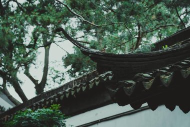 Geleneksel bir Çin binasının kıvrımlı çatı çizgisi yemyeşil yapraklarla çerçevelenmiştir..