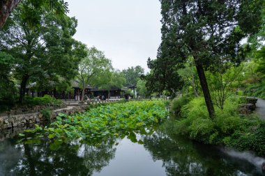 Suzhou, Çin - 11 Haziran 2024: Çin bahçesinde yemyeşil ve geleneksel mimarisi olan sakin bir gölet. Su dalgaları ağaçları ve gökyüzünü yansıtıyor, sakin bir atmosfer yaratıyor..
