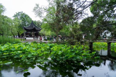 Suzhou, Çin - 11 Haziran 2024: Çin 'in Suzhou kentindeki mütevazı yönetimin bahçesinde, nilüfer yaprakları ve taş bir köprü ile dolu huzurlu bir gölet.