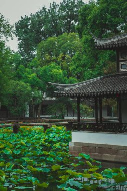 Nilüfer yapraklarıyla dolu geleneksel bir Çin bahçesi ve balkon gibi bir yapısı var..