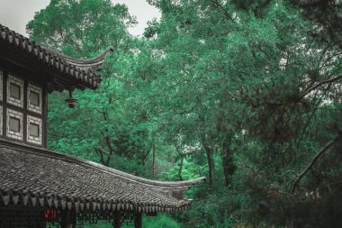Yeşillik ve pagoda çatılı geleneksel bir Çin bahçesi..