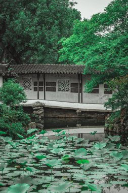 Kiremit çatılı beyaz bir pavyon, büyük nilüfer yapraklı sakin bir göletin üzerinde oturur..