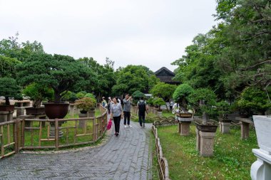 Suzhou, Çin - 11 Haziran 2024: Bambu çitlerle kaplı taş bir patika Çin 'in yemyeşil bir bahçesinden geçiyor. Ziyaretçiler saksılarda bonsai ağaçlarının arasında geziniyor, huzurlu manzaranın tadını çıkarıyorlar..