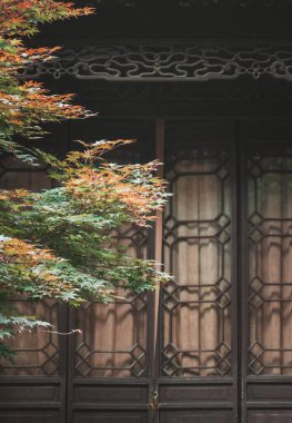 Green and orange leaves frame a wooden door with intricate metalwork, creating a serene scene.