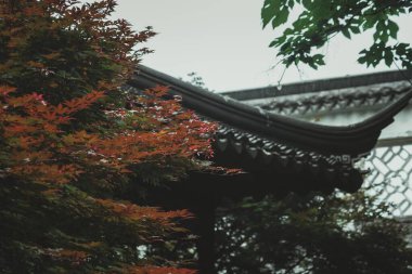 Çin 'in Suzhou kentindeki geleneksel Çin bahçesinin yakın plan görüntüsü. Çerçeveye canlı kırmızı bir akçaağaç dalı hakim olurken, arkasında gri kiremitli bir çatı beliriyor..