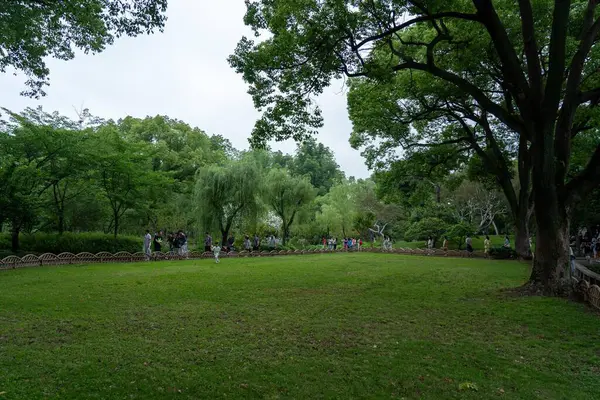 stock image Suzhou, China - June 11, 2024 : A view of a green grassy area in a park with a wooden fence and many trees in the background.