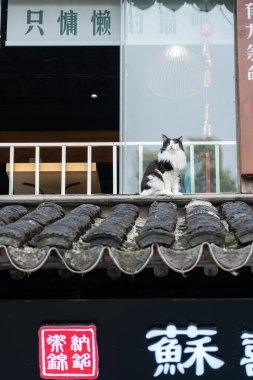Suzhou, Çin - 11 Haziran 2024: Çin 'de Suzhou, Çin' de bir dükkanın dışındaki fayanslı bir çatıda siyah beyaz bir kedi oturuyor.