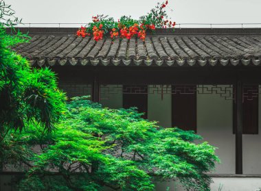 A traditional Chinese house with a gray tiled roof and a leafy green tree in front of it. The roof is adorned with red flowers growing on the edge. clipart