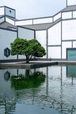 Suzhou, Çin - 12 Haziran 2024: Yansıyan gölü ve yalnız ağacı olan modern mimari.